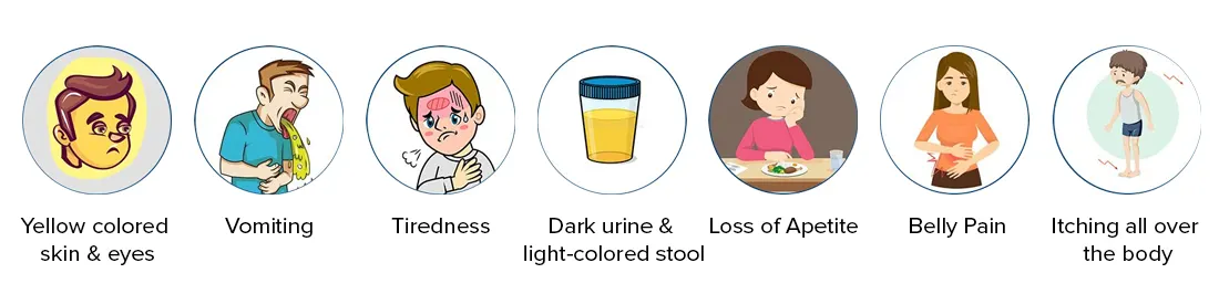 Symptoms of Jaundice